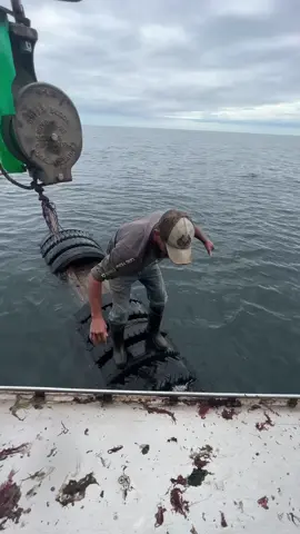 Came across this log floating in the ocean this spring. Coty said he could run it! I gotta give him credit for trying! 😂 #lobsterfishing #fishing #lobster #commercialfishing #ocean #funny #LobsterTok #maine #😂 #comedy 