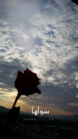 #سواها 