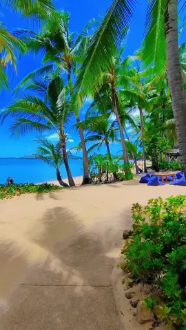 Relax in paradise 🏝️ 👉 Like . Comment . Save it 🙏 👉 Folge mir für mehr 😊 #kohsamui #lamaibeach #thailand #strand #meer #palme #sonne #warm #kohphangan #kohtao #reisen #abenteuer #chawengbeach #maenambeach #samui #meer #fernweh #urlaub #viral 