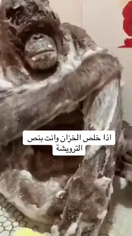 مصلح  اخر الليل