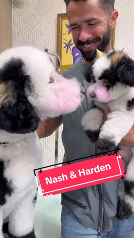 Can’t wait to see the Halloween pics! !#cutedog #doggrooming