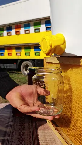 #miere #honey #albine #beekeeping #relax 