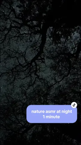 many of you asked for a longer and without music version of this one, I’ve been late but I’m leaving it here for you to enjoy 💜 in your sleepless nights or your daydreaming  #stargazing #calm #escape #relaxing #relax #night #nightsky #sky #aesthetic #escapereality #pause #cozy #motivation #vibes #mood #romantic #night#nature #sad #nostalgic #melancholic #meloncholy #fyp #foryoupage #1am #2am #3am #rest #motivation #motivational #quotes #motivationalquotes 