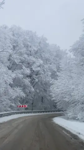Winter is coming… #georgia #georgia🇬🇪 #trending #wintervibes #fypシ 