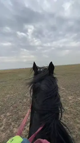 #видеодлясторис #лошади🐴 #кыргызстан🇰🇬 
