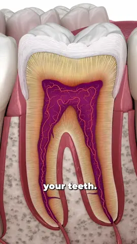 How desensitising toothpastes work #dentist #teeth #tooth #toothpaste 