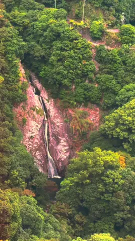 Nunobiki Falls #japan #kobe #nature #fyp #foryou 