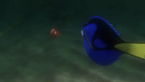 ارجوك متمشيش 🥺  #fyp #fypシ #دوبلاج_بصوتى #ديزني_بالمصري #disney #voiceover #نيمو #دوري #سمكة_البهلوان 