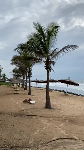 #Senegambia #KairabaBeach #KairabaBeachHotel #Banjul #TheGambia #SmilingCoast #smilingcoastofafrica #Nature #Beach #Peace #lovelyralshotit #princeralfordovlogs #ralfordovlogs #shotbyral #shotbyralford #createdbyralfordo #capturedbyellarr #lovelyral #ralfordo #princeralfordo 