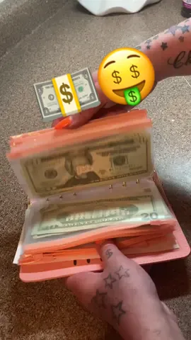 Setting up my new budget book #cashstuffing #cashstuffingasmr #cashstuffingenvelopes #cash #cashstuffingmethod #cashstuffingsystem #budgeting #budget #budgetbook 