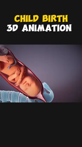 Child Birth Procedure Through Normal Delivery 3D Animation 👶 #normaldelivery #normaldelivery♥️👶 #normaldelivery🙏❤️😊 #normaldelivery👧 #childbirth #childbirtheducation #birth #childbirthtips  #childbirthpreparation #childbirthstory #childbirthclass #medical3danimation #medicalprocedure #3danimation 