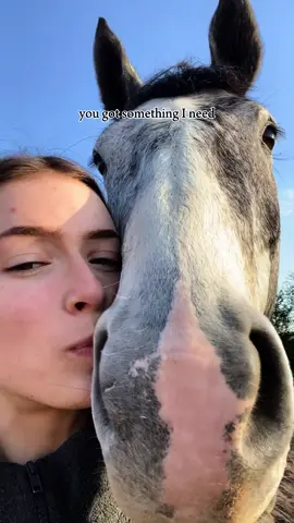 my person🤍 #equestrian #horsetok #horseriding #equine #horsetiktok #horsefail #ponies #equestrianlife #equestrianvibes #horsegirl #horsesontiktok #horsesoftiktok #kissingspine #fyp 