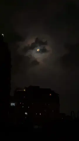 This song sounds heavenly but hurts like hell. #aidaelayoubi #Aida #عايدة_الايوبي #ان_كنت_غالي_عليا #aidaelayouby #moon #MOON #clouds #usa🇺🇸 #peace #menzaman #ان_كان_للحبيب_حبيب_تاني 