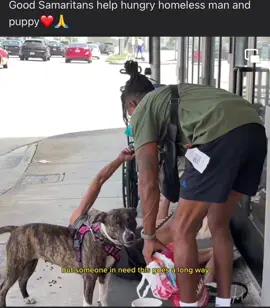 Helping The Homeless & His Dog ❤️ | #Animal_Video01 #Animals #Fy #Fyp #fypシ #ForYou #Dog #Homeless 