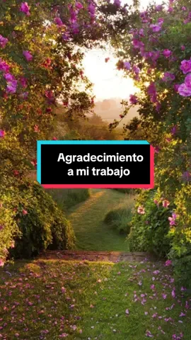 Agradecimiento al trabajo✨ #agradecida #trabajo #gracias #universo #foryou #manifestacion #queridouniverso #agradecimiento #decreto 
