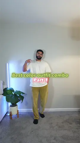 Colot combo series part one, what colors should I try on next? ##colorcombo##fashiontip