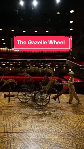 Watch as our Gazelle Wheel leaps to life across the stage! ✨ #thelionking #puppets #broadway #disney100 #gazelles 