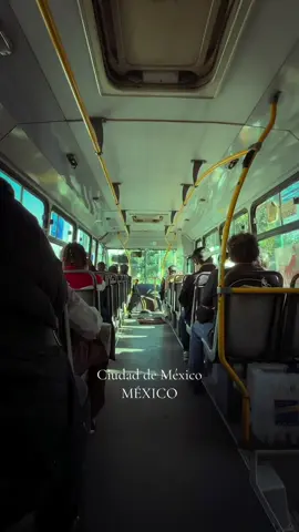 Camino al trabajo… IG: @yulsemar #parati 