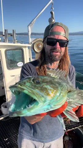 Funny Bone, You know how we roll! #friendliestcatch #natgeo #crab 