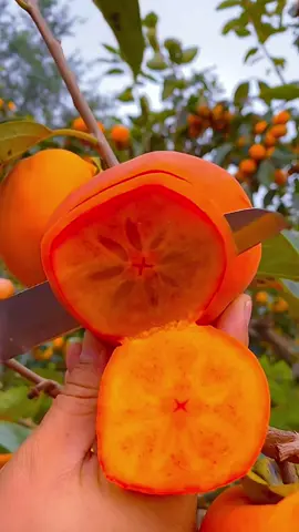 OMG😱what fruit?🤤😋#uk #usa #fruit #asmr 