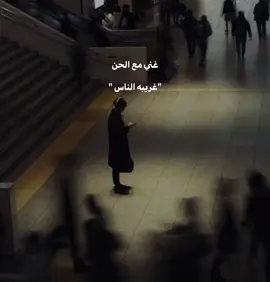 #غني_مع_اللحن🎤🎶 #غريبه_الناس #بدون_هشتاق #fyp #fyp #مصر 