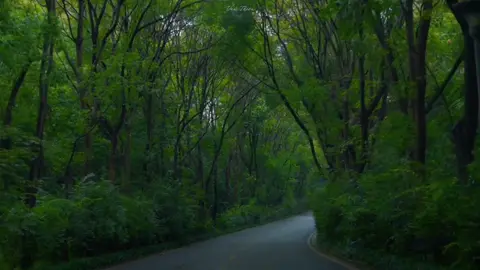 Sa vào nguy hiểm × trống rỗng #nhactrung #mashup 