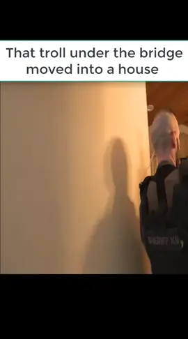 P9 - That troll under the bridge moved into a house #cops  #copsoftiktok  #copsontiktok  #police  #cps  #patymayo