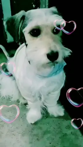 #trending  #seguidoresfollow  #todos 