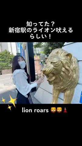 寄付してみて！