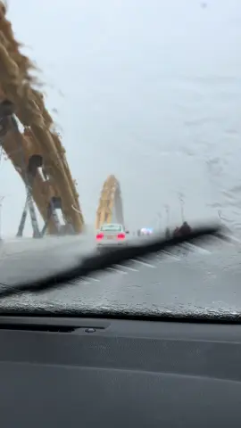 Đà Nẵng Mưa to #caurongdanang #mưangap 