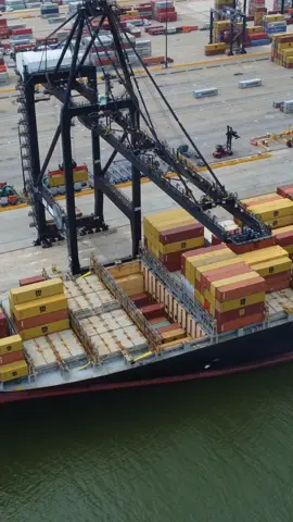 Maritime Friday. Container operations in action. #port #container #ship #vessel #cmacgm #crane #sts #shiptoshore #msc 