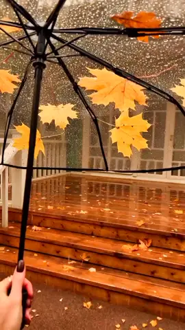 #farawla🍓 #خريف #تساقط_اوراق_الخريف_لتحتضن_الارض💕💕😘🧚🕊️🍯 #fypシ #explore