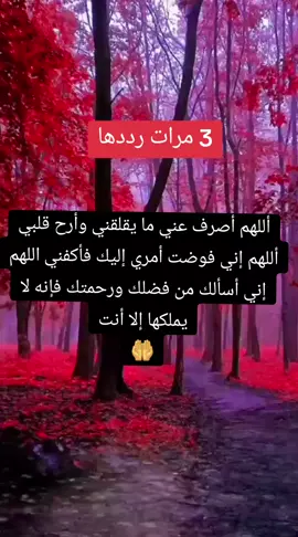 #يارب #يارب_العالمين #دعاء #صلوا_على_رسول_الله#لاتنسوا_ذكر_الله #لا_تنسوا_الصلاة_على_النبي #اجر #ادعية_مستجابة #لا_اله_الا_الله #السعودية #مصر #بغداد #الجزائر   #اللهم_امين#دعاء_عظيم #دعاء_مستجاب  #foryou 