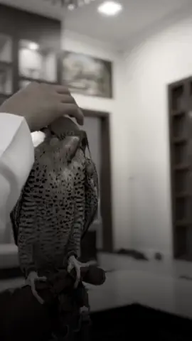 نعطف على المحتاج واحنا احوج منه ..👍🥀#اكسبلور #اكسبلوررررررر #لايك_كومنت #قصايد #حايل #حفر_الباطن #الرياض  #ابيات_شعر #تصميمي 