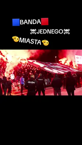 🟦BANDA JEDNEGO MIASTA🟥 #viral #polishfans #poloniabytom #hooligans #hooligansfrompoland #ultras #stadionowioprawcy #polishfanstv #bytom #gornyslask #bandajednegomiasta 