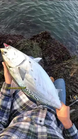 Thing started PEELING drag #fishing #stripedbassfishing #tunafishing #fishermen 