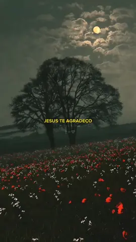 Jesus Te Agradeço🤴🛐 #louvor #gospel #louvores #fe #Deus #cristao #musicagospel #gospelparastatus 