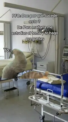 O me preparas una clase 🙃#pfo #medicina #parati #foryou #fypシ #eradelhielo2 #Meme #MemeCut #CapCut 