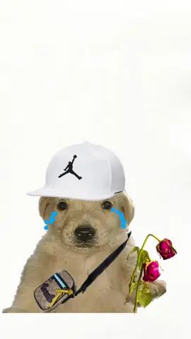 Cuando alguien me amaba🥹💔 #fypシ #parati #apoyo #viral #elfrizian #lareceta #cuandoalguienmeamaba #perrito #mexico 