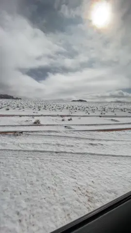 #تبوك #ثلوج_تبوك #اكسبلورexplore #جبل_اللوز #الشتاء 10 يناير سنه 2020☃️🥺