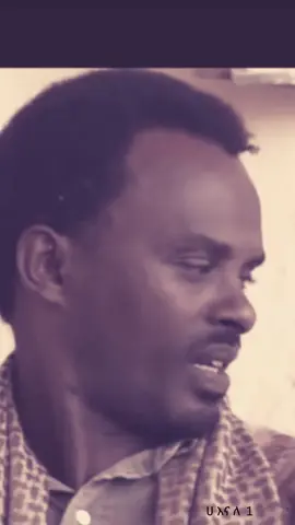 Maraki Moments 07 #Moments  #funny  #funnyvideo  #funnymoments  #viral  #viralvideo  #viraltiktok  #filfilu  #besintu  #ethiopian_tik_tok  #habeshatiktok  #ethiopiancomedy  #duet  #foryou  #ethiopian