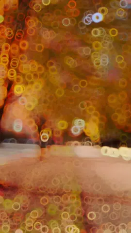 #4upageシ #canada #vancouver #fall #🍂 #🍁 #fypシ #4u 