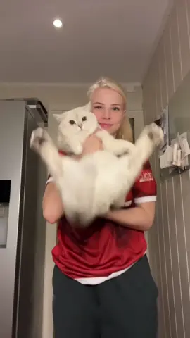 #stitch with @ He actually started purring🥹 #cat #catsoftiktok 
