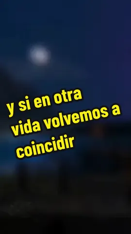 Y SI EN OTRA VIDA VOLVEMOS A COINCIDIR  #frases #parati #paradedicar #😌 #😛 #HistoryTime #divahuitron #frases_aesthetic #frases_de_todo #desamor #ingobernable 