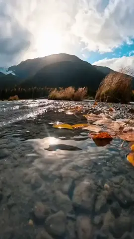 Buenos Dias #dios #paz #graciasdios #diosesbueno #misericordia #pazpaz #noalaguerra #porfavor #dioseterno #eresdioseterno🙏😇🙌🙌🙌🙌🌹💖 