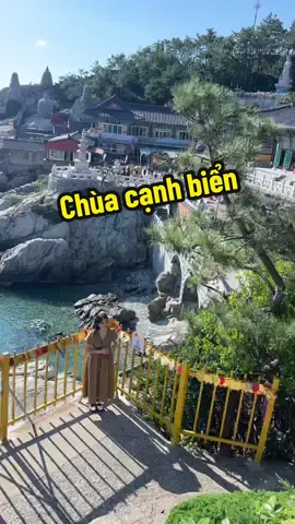 Chùa 해동 용궁사 Busan 💙 #chanchankorea #duhocsinhhanquoc 