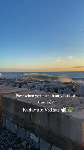 🕊️🍃#fypシ゚viral #fypシ #painhub #blessed #pray #godisgood 