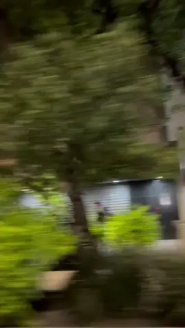 #paratiiiiiiiiiiiiiiiiiiiiiiiiiiiiiii #fypシ mod confused 🫥