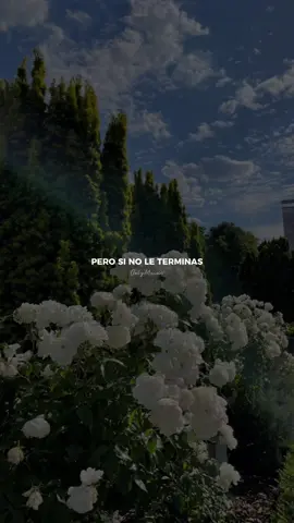 Vas a destrozarme… 🥀🧸 - Mau y Ricky  #rolitas #canciones #romanticas #sad #letras #music #lyrics #mauyricky #parati #fyp 