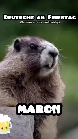 #marc #deutschememe #tiktokdeutschland #lustig #witzig #lachen #detsdeutschememes #memes #bier #feiertag 